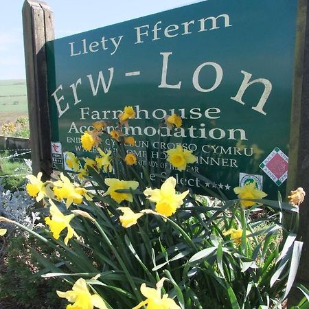 مبيت وإفطار Pontfaen Erw-Lon Farm المظهر الخارجي الصورة